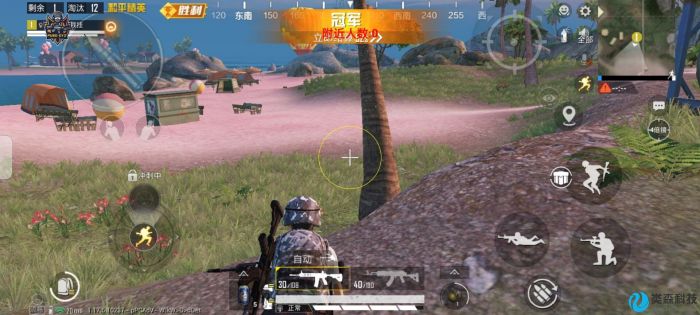 和平精英辅助一哥在哪直播（和平精英大哥在哪里直播）